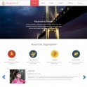 Dragonfruit Responsive HTML Web Sitesi 0002HR