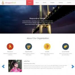 Dragonfruit Responsive HTML Web Sitesi 0002HR