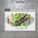Stack Flow Gallery Flash Tema 04F 