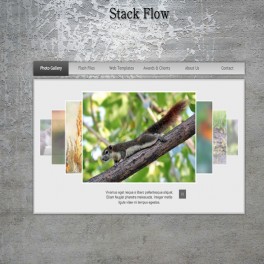 Stack Flow Gallery Flash Tema 04F 