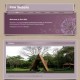 Pink Gallery Template Web Sitesi 09HR