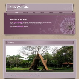 Pink Gallery Template Web Sitesi 09HR