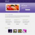 Violet Template HTML Web Sitesi 013HR