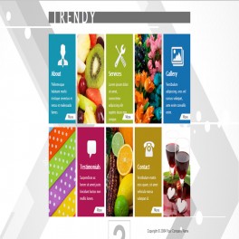 Trendy HTML Web Sitesi 024HR