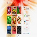 Spectrum Template HTML Web Sitesi 025H