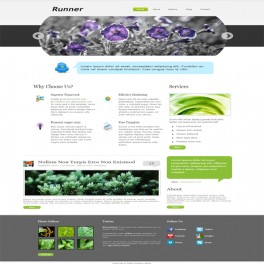 Runner Template HTML Web Sitesi 027H