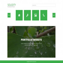 Solidity HTML Web Sitesi 030HR