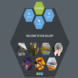 Polystar HTML Web Sitesi 031H
