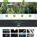 Smoothy HTML Web Sitesi 036HR