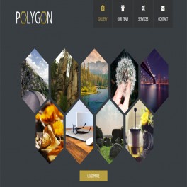 Polygon HTML Web Sitesi 037HR