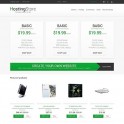 48239 Hosting Web Sitesi Şablonu 
